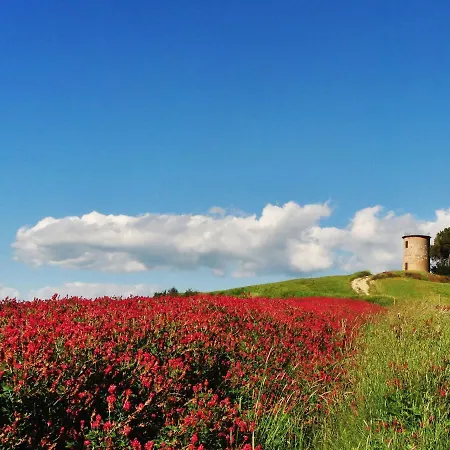 La Carraia By Interhome Holiday home *