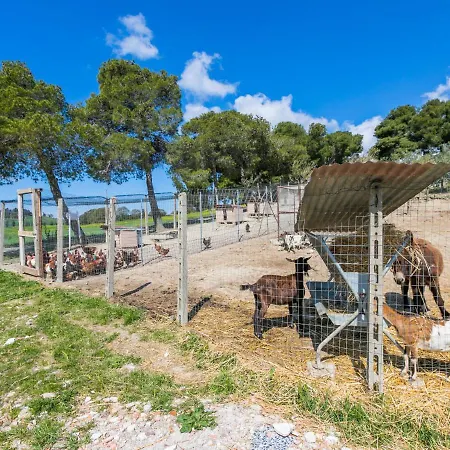 La Carraia By Interhome Holiday home